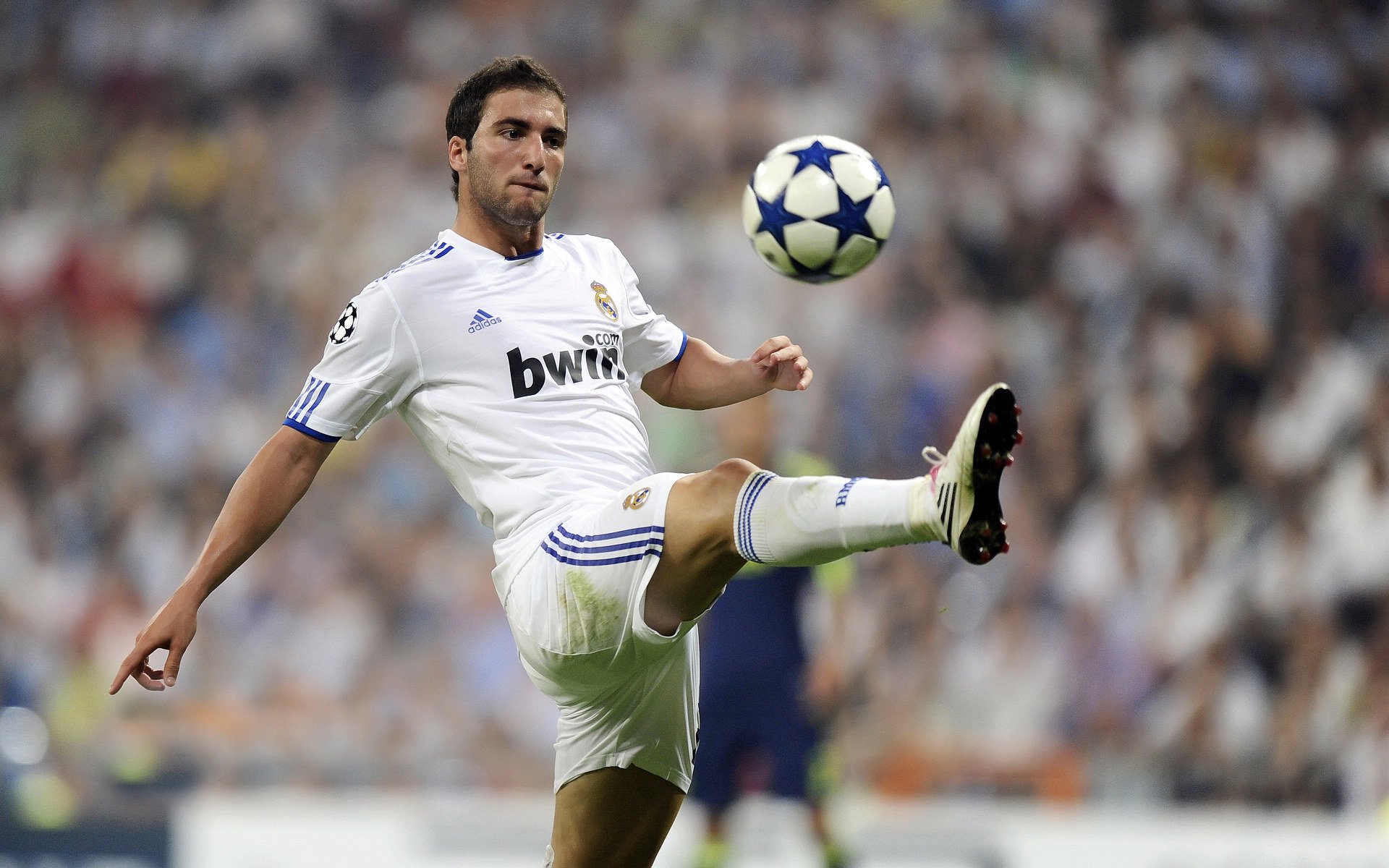 “冠军荣耀：感人瞬间永载史册”，冠军的荣耀